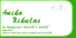 aniko mikulas business card